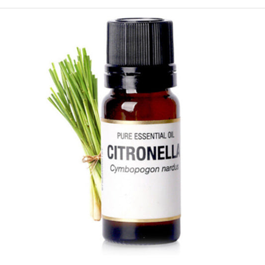 Ätherisches Zitronengrasöl – Aromatherapie & Massageöl