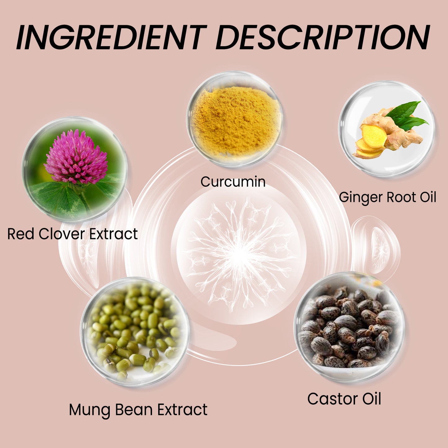 Hair Dense Essence – Pflege & Stärkung für Haare